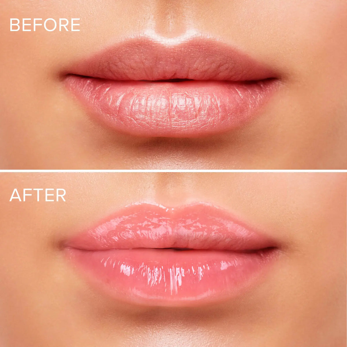 Lip Moisturizer & Plumping Balm-Lip Moisturizer & Plumping Balm