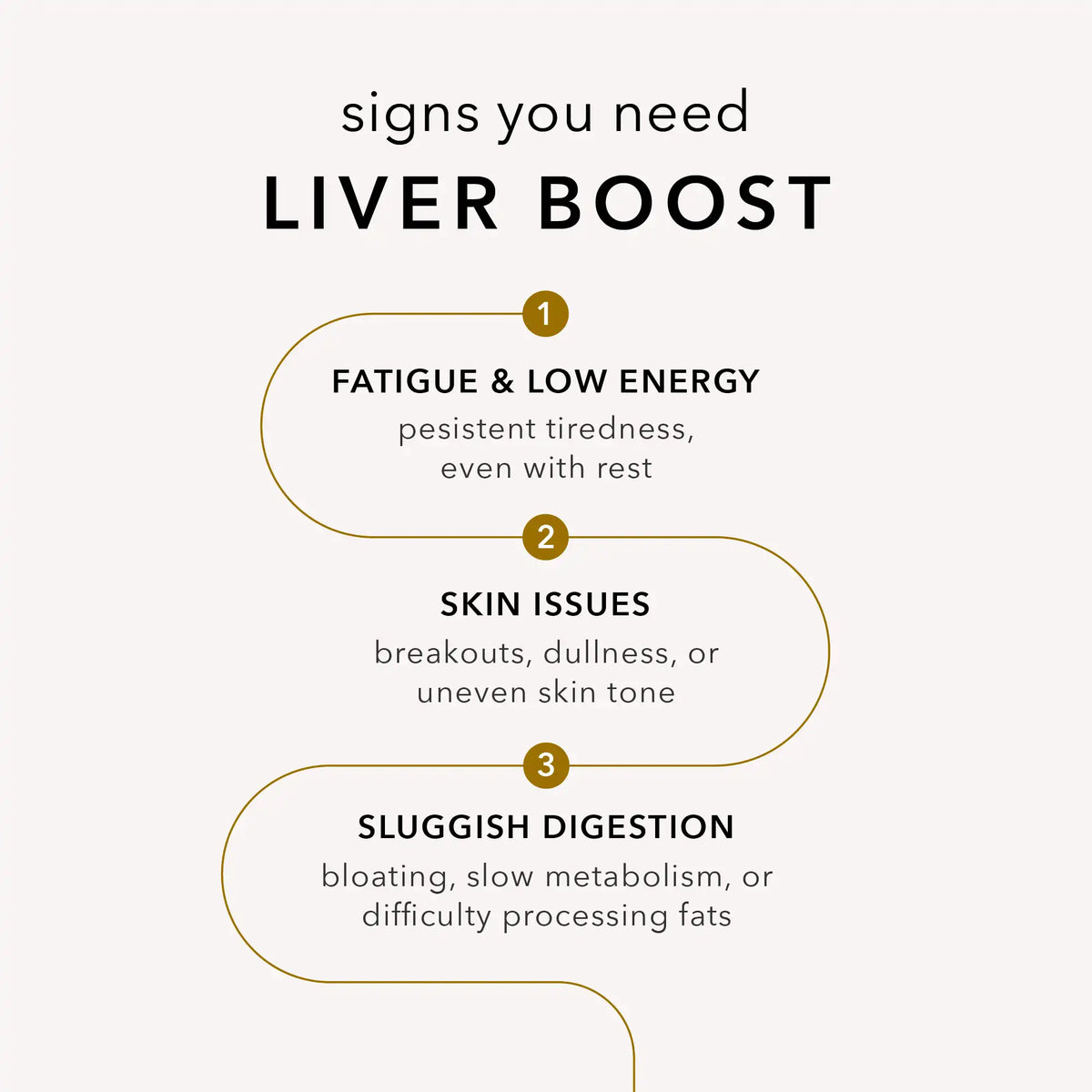 Liver Boost-Liver Boost