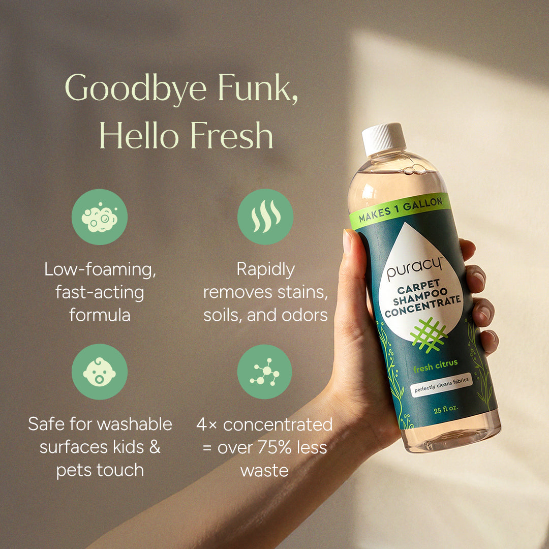Carpet & Upholstery Shampoo-Carpet & Upholstery Shampoo
