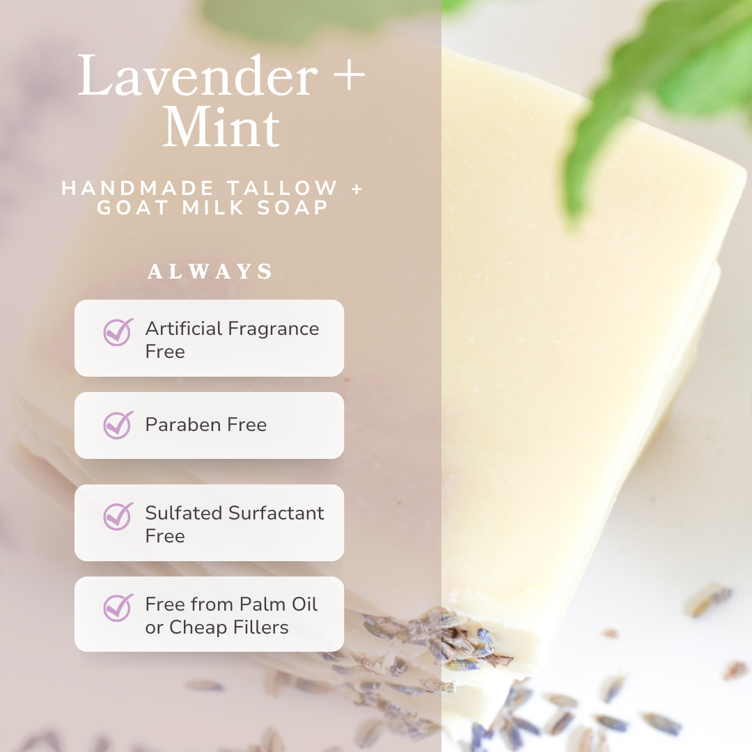 Lavender + Mint Handmade Tallow and Goat Milk Soap Bar-Lavender + Mint Handmade Tallow and Goat Milk Soap Bar