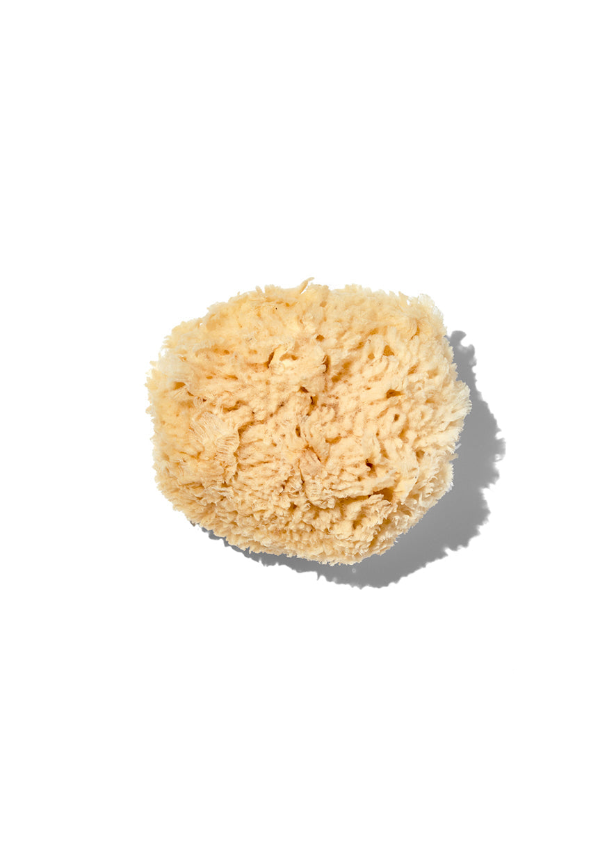 Natural "Wool" 3-4" Sea Sponge-Natural "Wool" 3-4" Sea Sponge