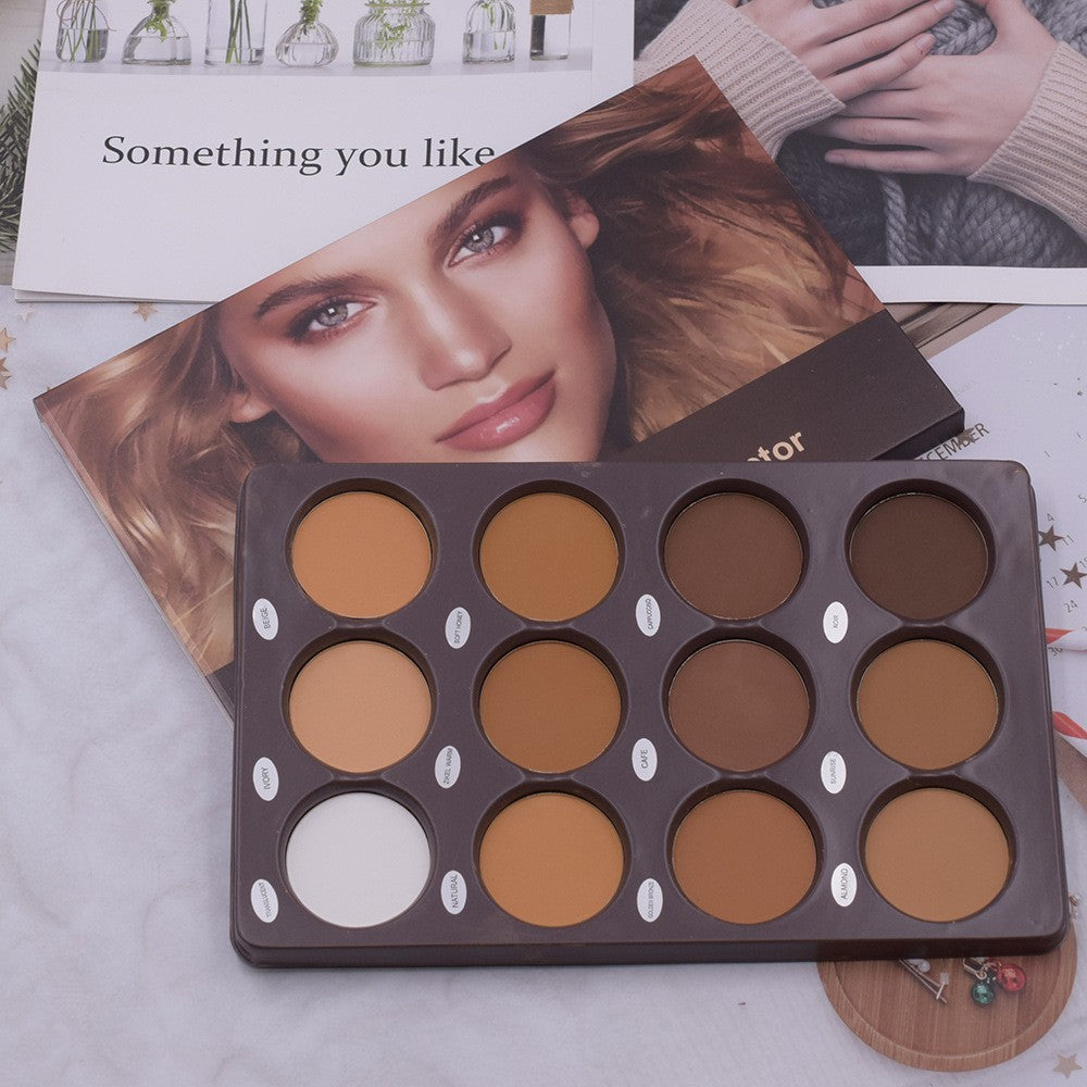 12 Color Makeup Repair Plate-314cb41b42361e789c06b69a9e22a3cc
