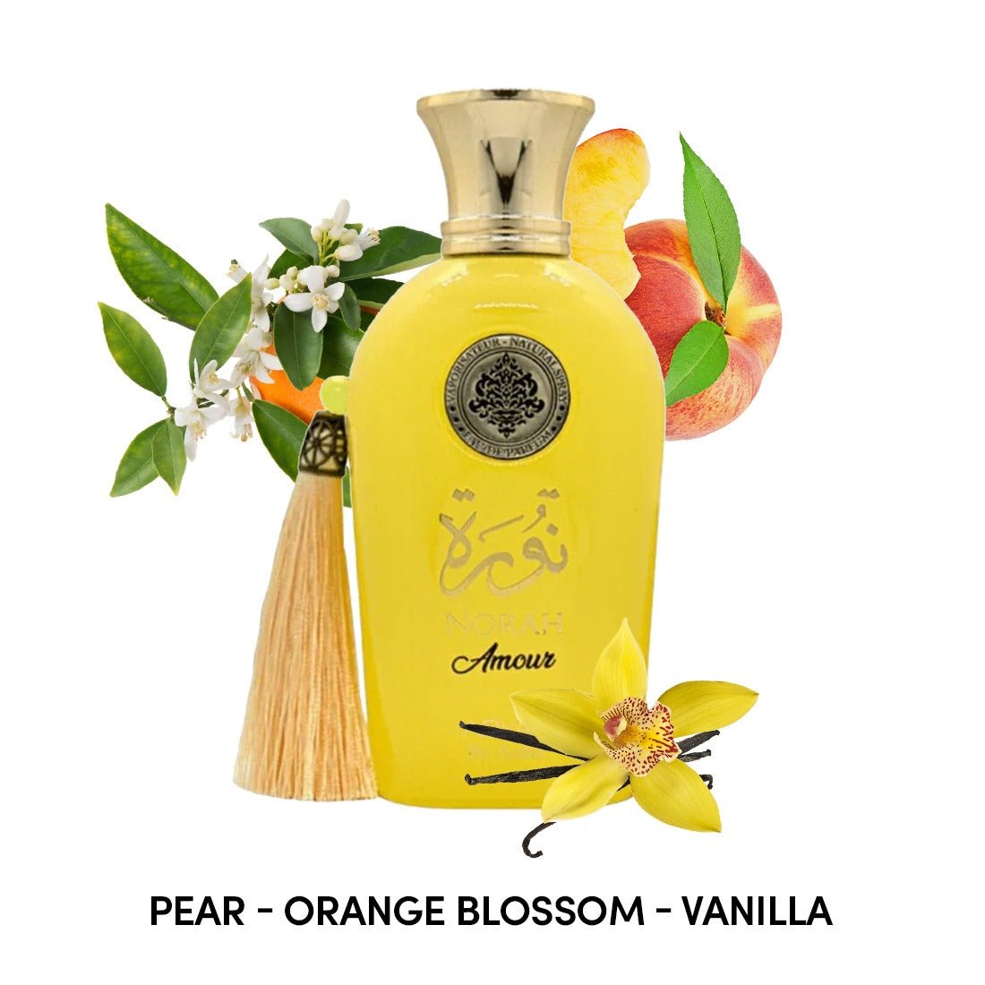 Adyan Norah Amour For Women Eau De Parfum Spray 3.4oz 3.4oz-Adyan Norah Amour For Women Eau De Parfum Spray 3.4oz 3.4oz