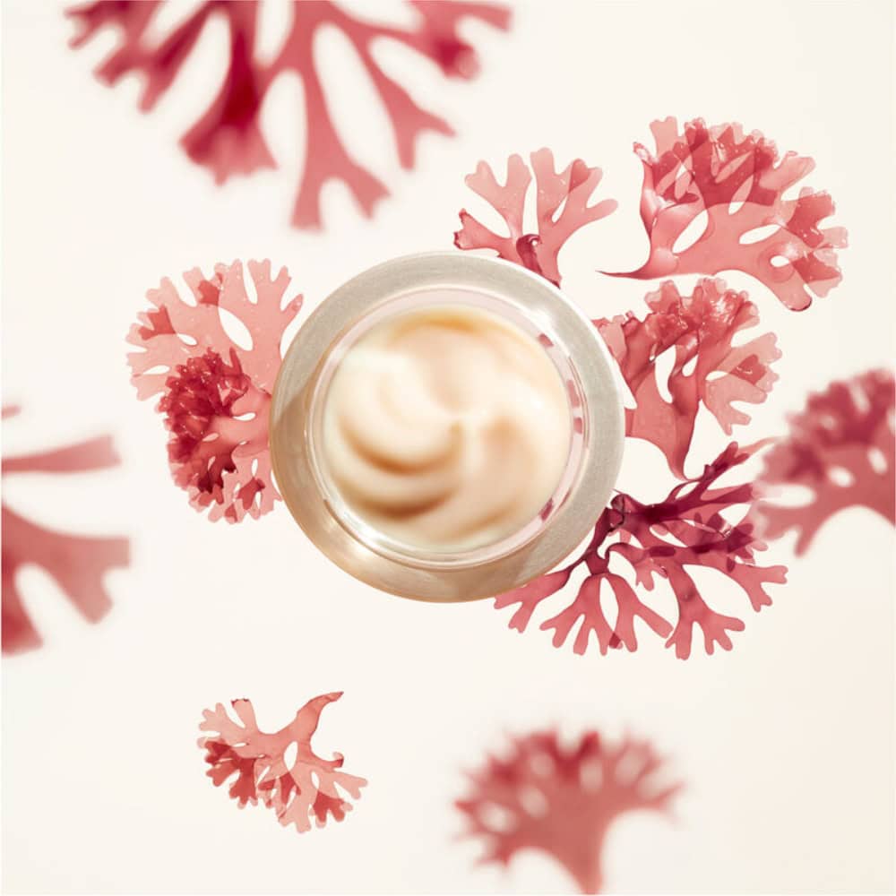 Shiseido Benefiance Wrinkle Smoothing Cream-Shiseido Benefiance Wrinkle Smoothing Cream
