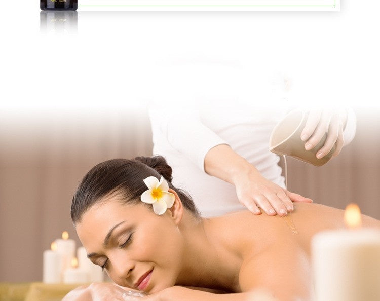Wormwood Essential Oil Massage Facial Essential Oil-95aab3a178582c043678391b73b3783