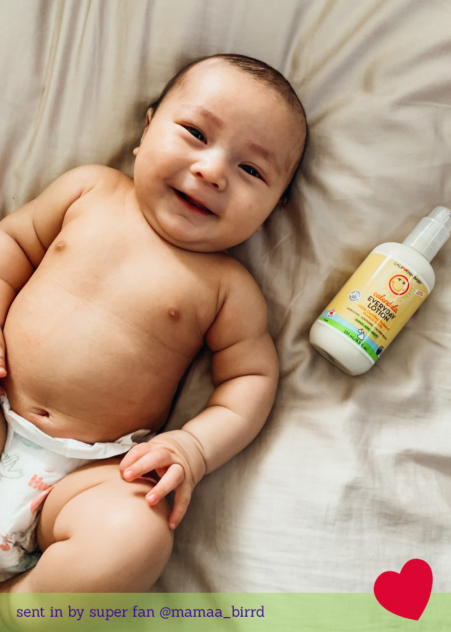 Calendula™ Everyday Lotion-Calendula™ Everyday Lotion