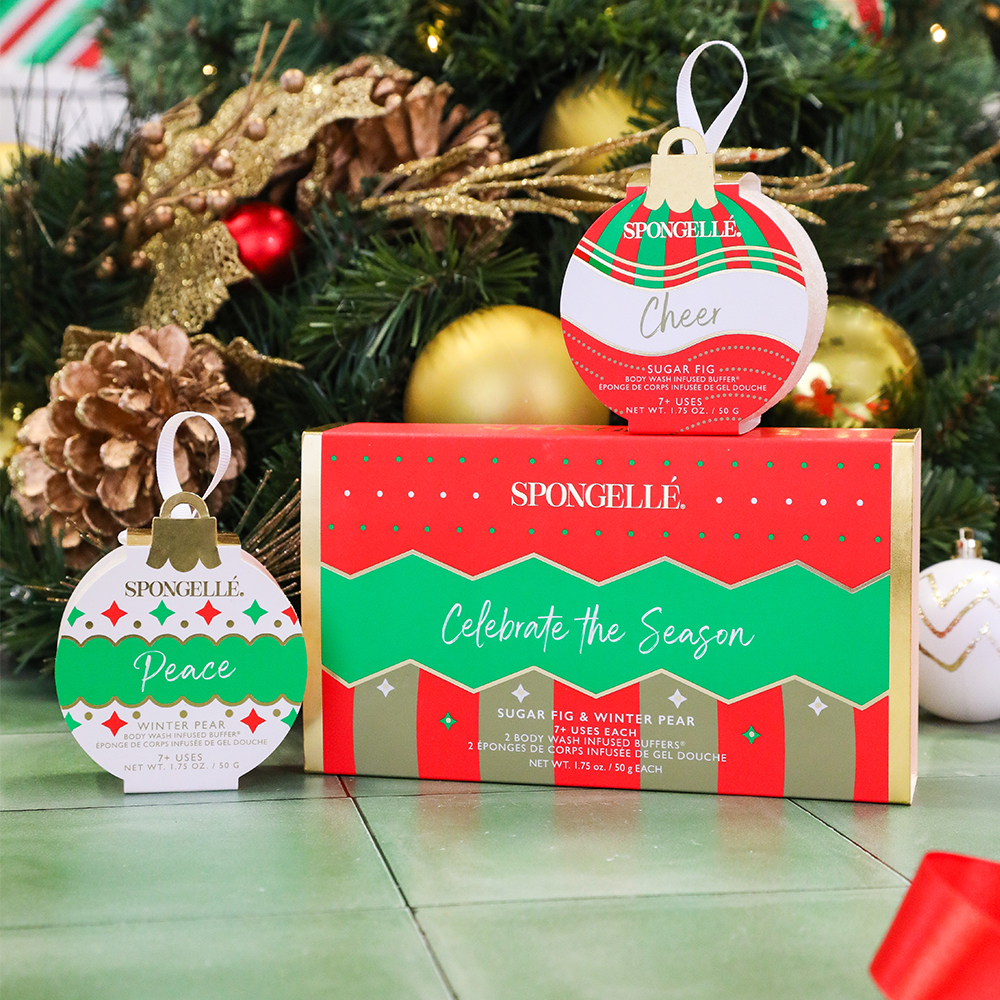 Celebrate the Season | Holiday Ornament Gift Set-Celebrate the Season | Holiday Ornament Gift Set
