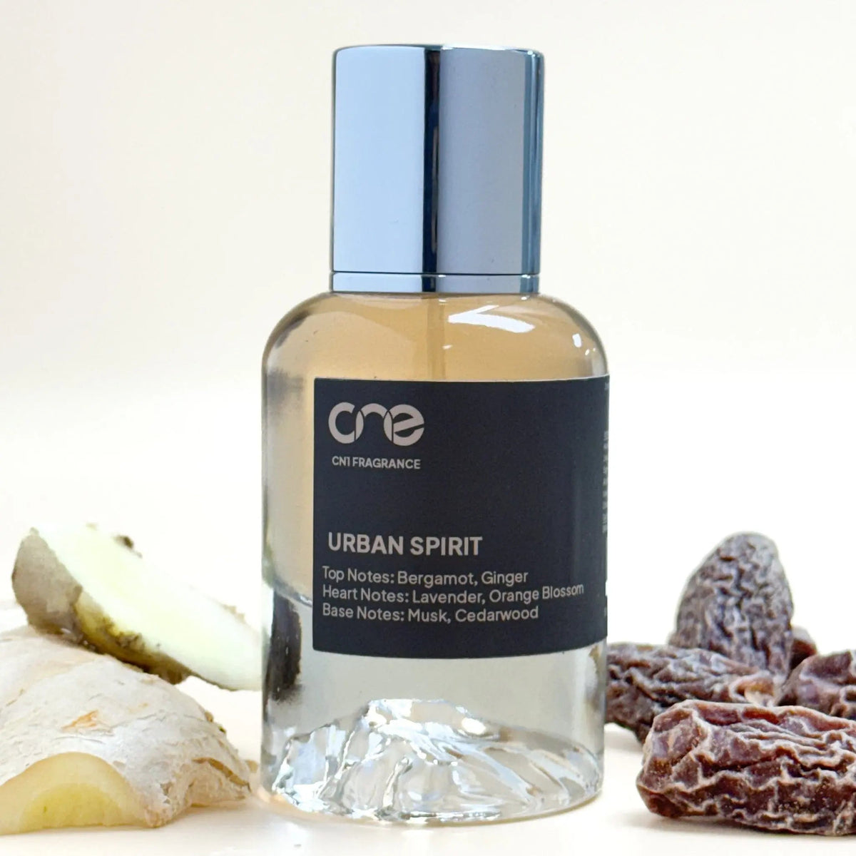 Urban Spirit-Urban Spirit