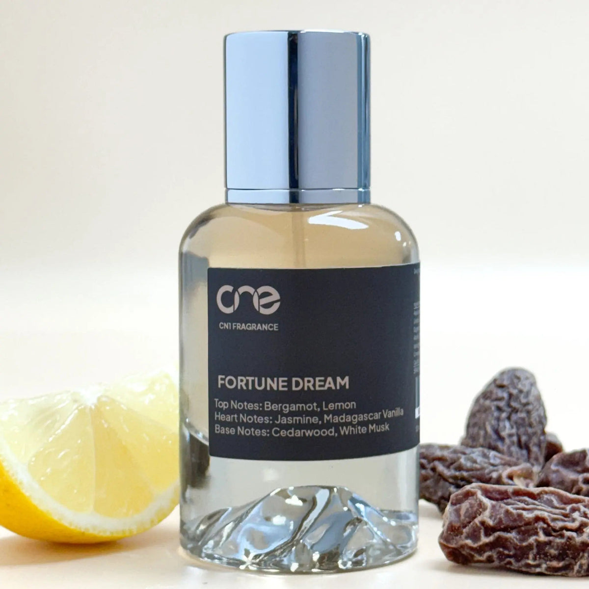 Fortune Dream-Fortune Dream
