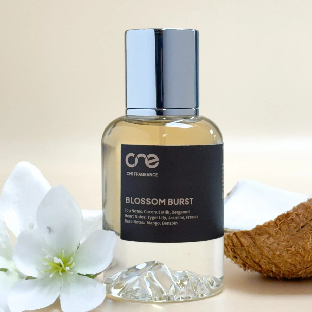 Blossom Burst-Blossom Burst
