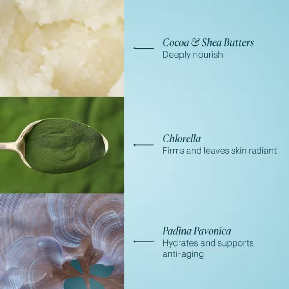 Elemis Pro-Collagen Marine Cream Ultra Rich 50 ml-Elemis Pro-Collagen Marine Cream Ultra Rich 50 ml