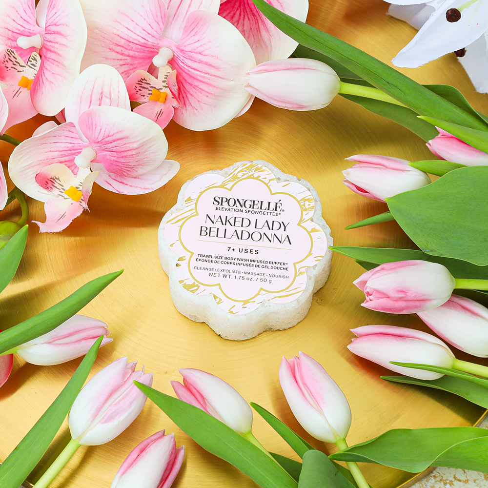 Naked Lady Belladonna | Elevation Spongette-Naked Lady Belladonna | Elevation Spongette