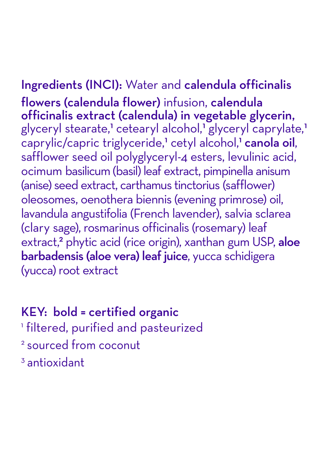 Calendula™ Everyday Lotion-Calendula™ Everyday Lotion