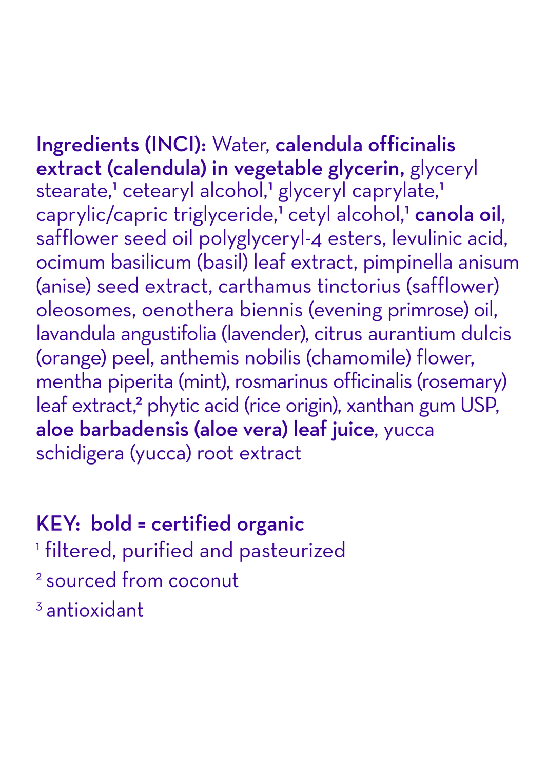 Chamomile & Mint™ Everyday Lotion-Chamomile & Mint™ Everyday Lotion