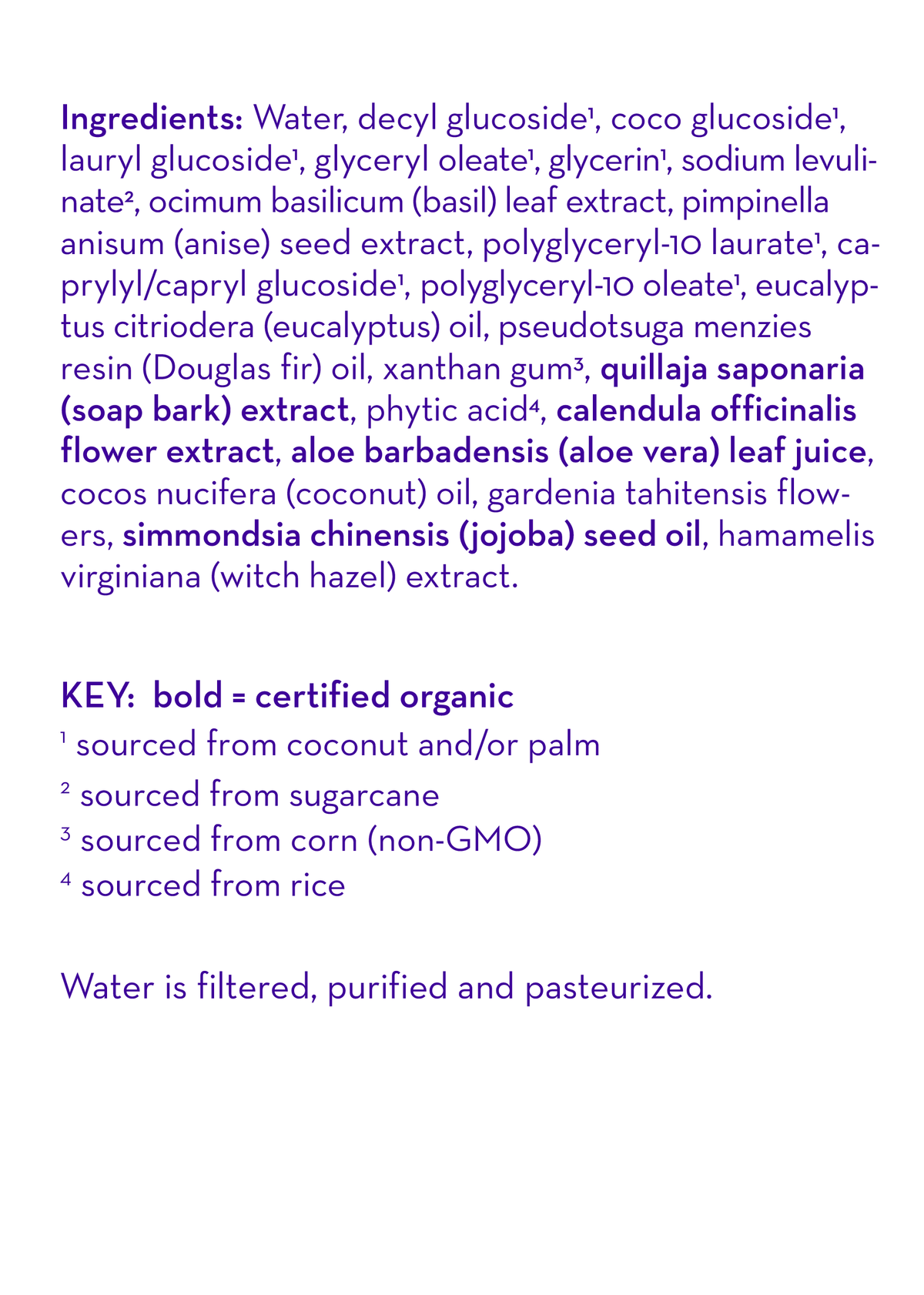 Eucalyptus Ease™ Moisturizing Handwash-Eucalyptus Ease™ Moisturizing Handwash