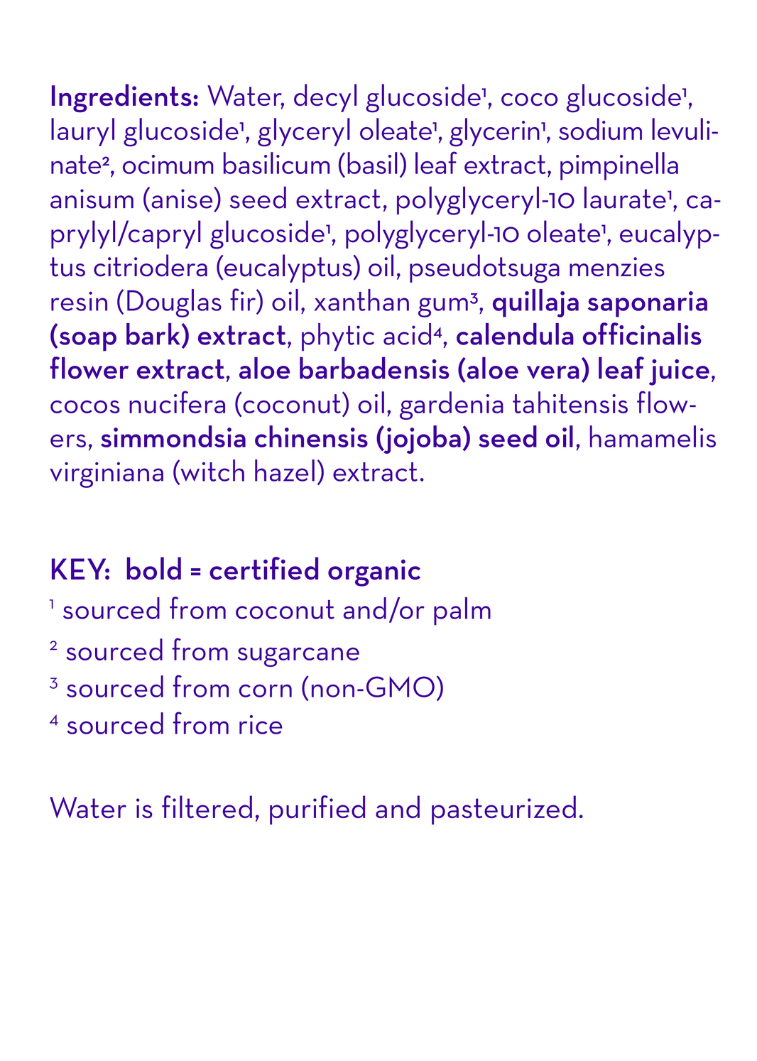 Eucalyptus Ease™ Moisturizing Handwash-Eucalyptus Ease™ Moisturizing Handwash
