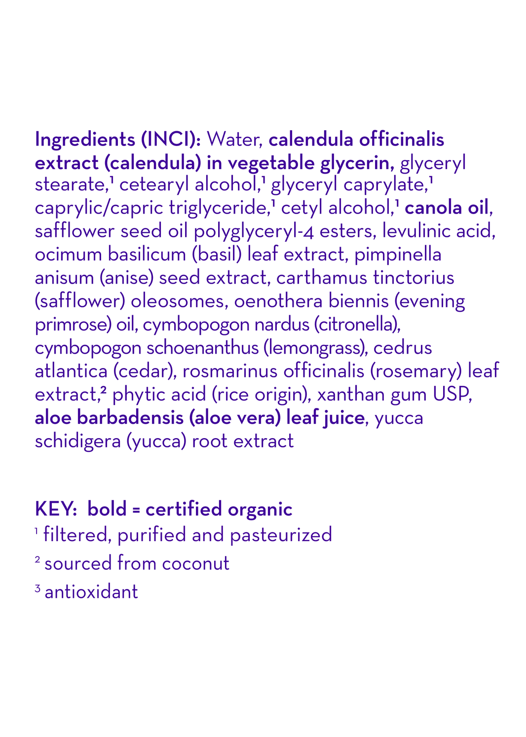 Summer Blend™ Everyday Lotion-Summer Blend™ Everyday Lotion
