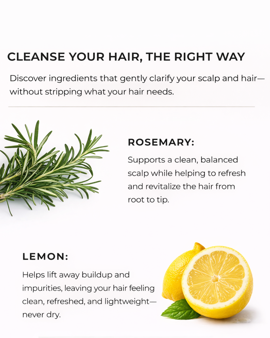LEMON & ROSEMARY CLARIFYING SHAMPOO-LEMON & ROSEMARY CLARIFYING SHAMPOO