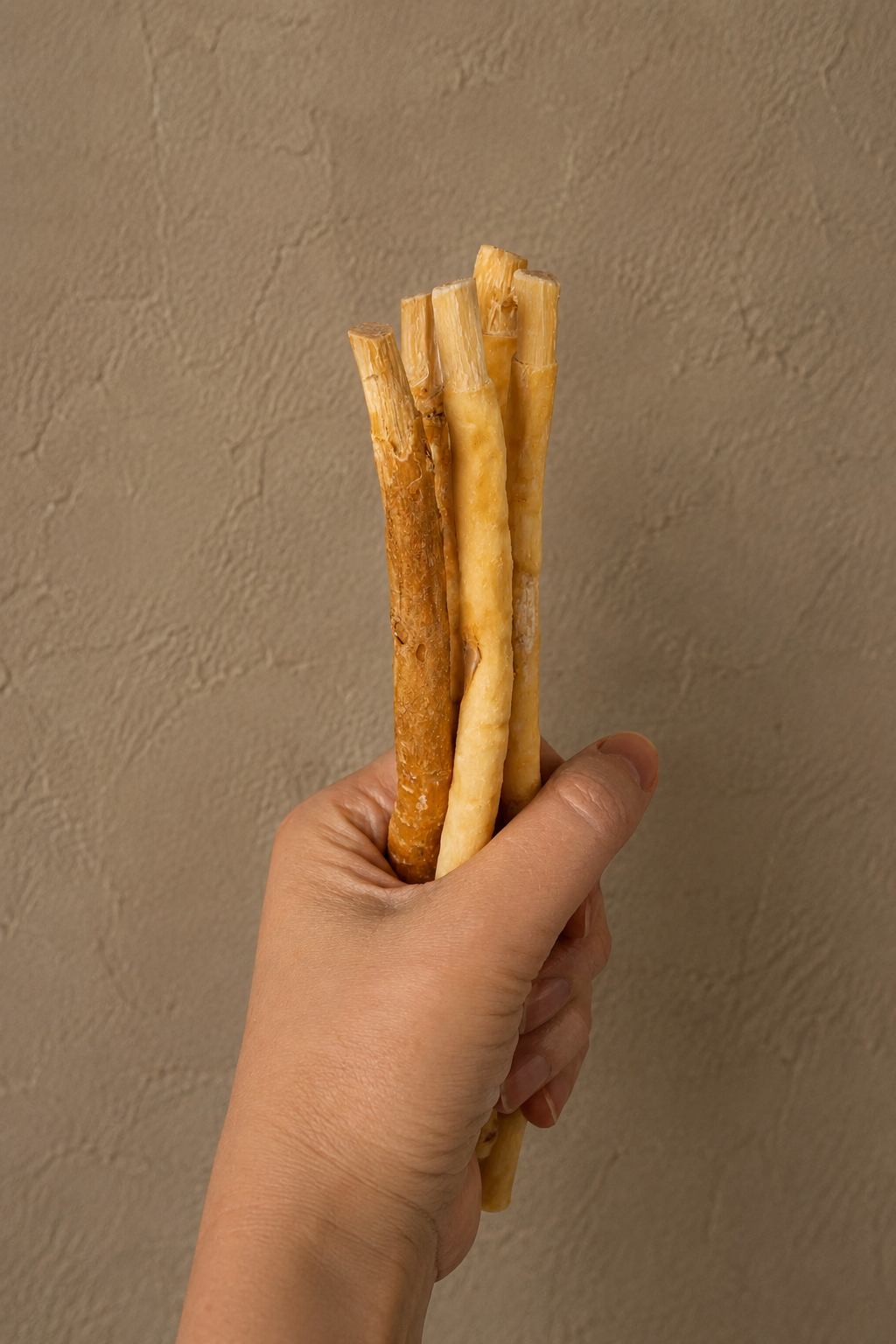 Organic Miswak Twig: Sustainably Sourced from the Arak Tree-Organic Miswak Twig: Sustainably Sourced from the Arak Tree