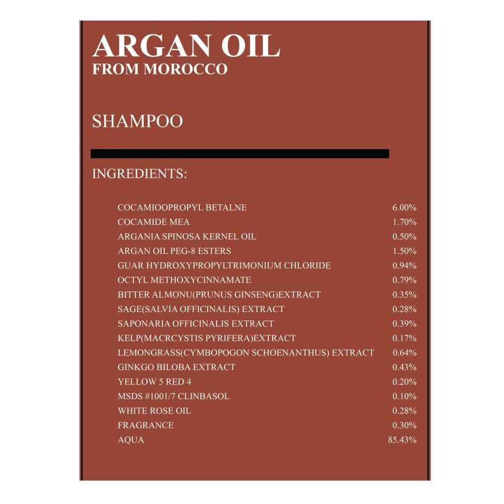 Moroccan Oil Hair Care Gift Set-Moroccan Oil Hair Care Gift Set