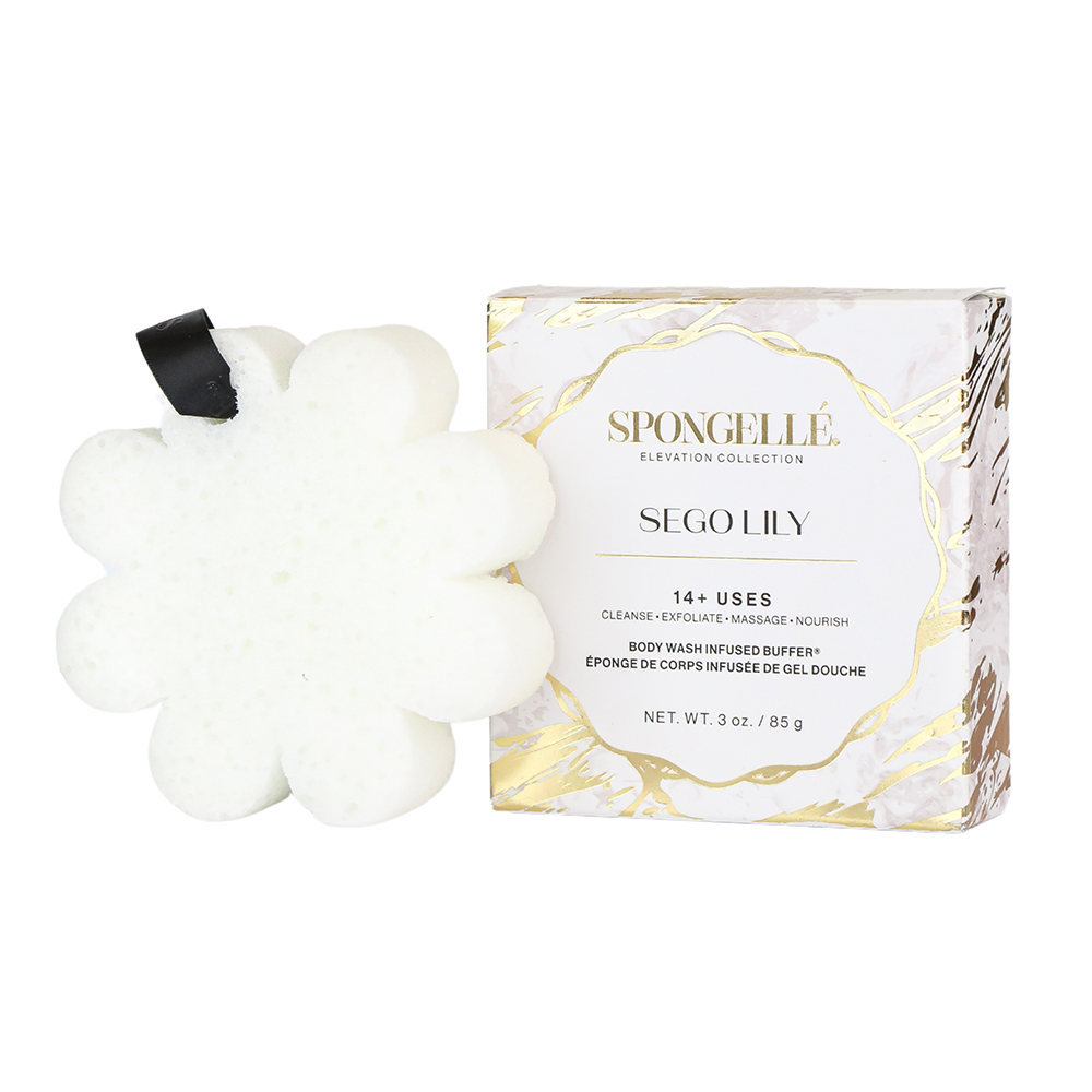 Sego Lily | Elevation Boxed Flower-Sego Lily | Elevation Boxed Flower