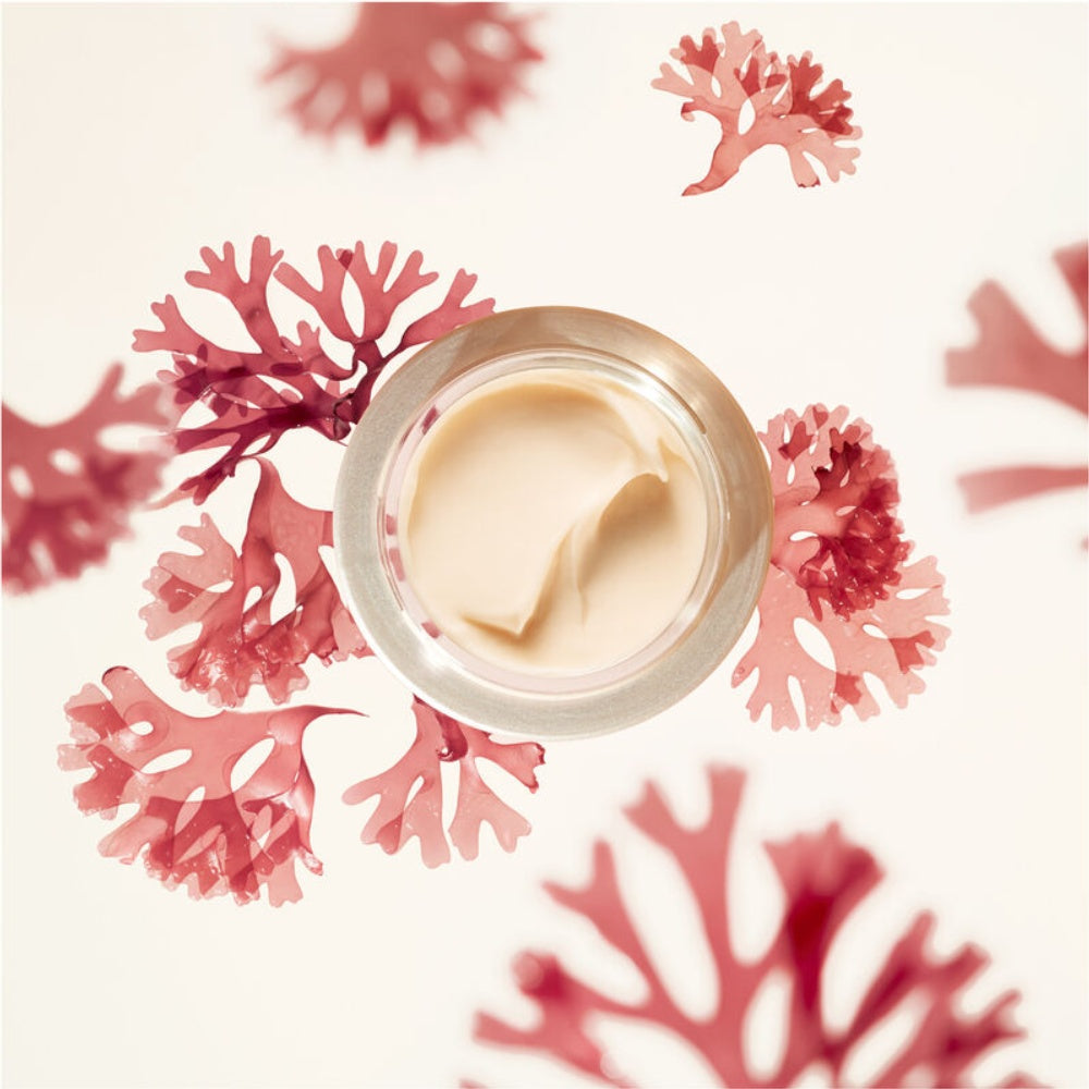 Shiseido Benefiance Wrinkle Smoothing Cream Enriched-Shiseido Benefiance Wrinkle Smoothing Cream Enriched